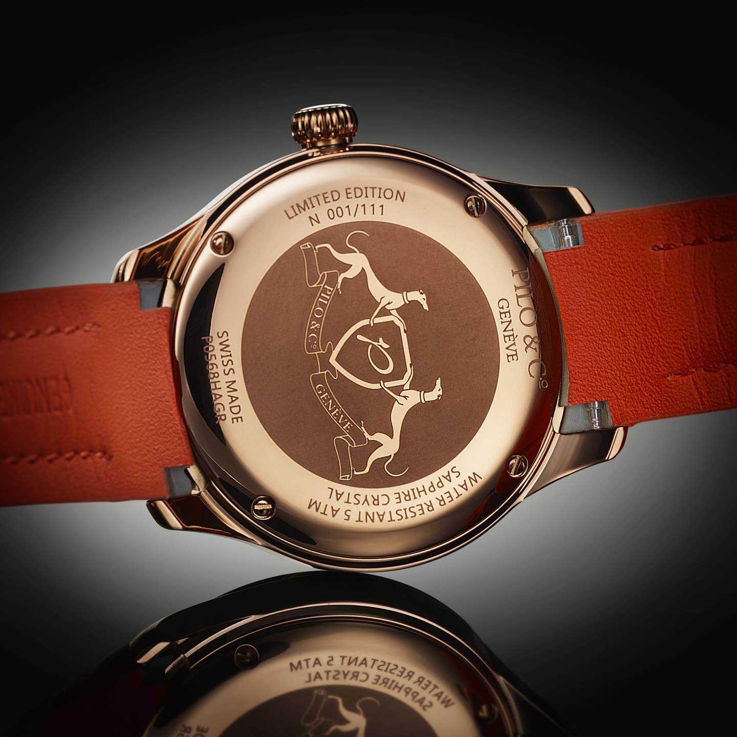 Pilo & Co Genève Extraneō P0569HAGR – vue produit 2